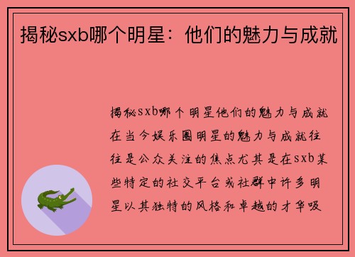 揭秘sxb哪个明星：他们的魅力与成就