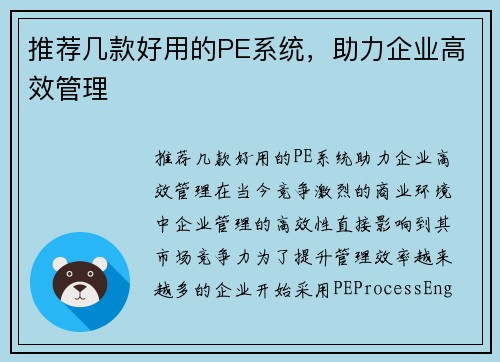 推荐几款好用的PE系统，助力企业高效管理